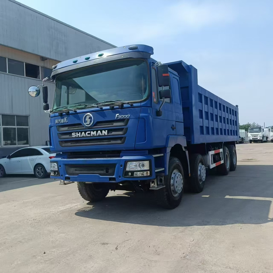 SHACMAN F3000 8X4 Click Here for  DISCOUNT - Istovarivač: slika 3 SHACMAN F3000 8X4 Click Here for  DISCOUNT - Istovarivač: slika 3