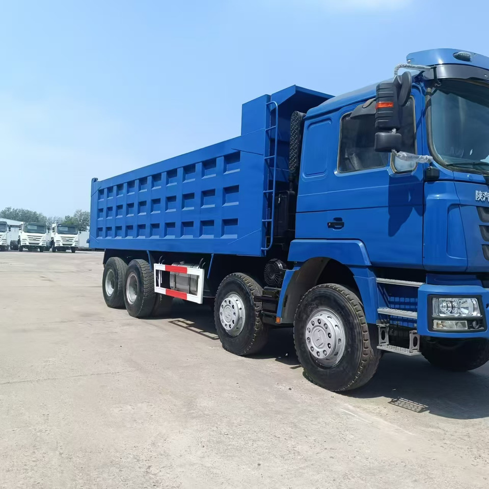 SHACMAN F3000 8X4 Click Here for  DISCOUNT - Istovarivač: slika 4 SHACMAN F3000 8X4 Click Here for  DISCOUNT - Istovarivač: slika 4
