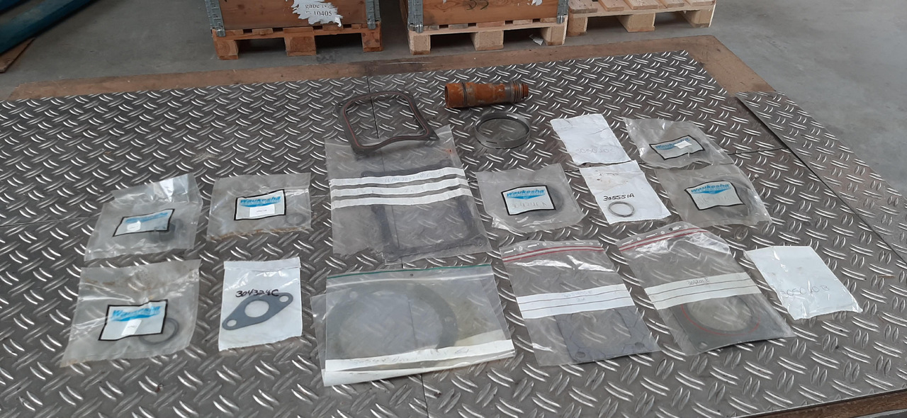 Diverse Dichtungen, Kleinteile, teils neuwertig, für Waukesha Gasmotor, Artikel - Nr. : 81.99999 - 9 - Zaptivka motora za Kamion: slika 1 Diverse Dichtungen, Kleinteile, teils neuwertig, für Waukesha Gasmotor, Artikel - Nr. : 81.99999 - 9 - Zaptivka motora za Kamion: slika 1