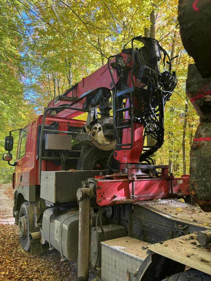 DAF CF510 - Šticar, Kamion sa dizalicom: slika 2 DAF CF510 - Šticar, Kamion sa dizalicom: slika 2