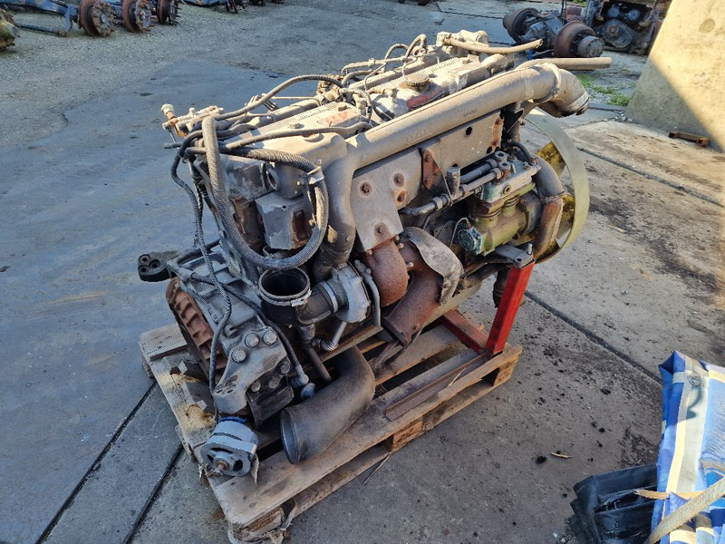 DAF 865 RS200L - Motor: slika 3 DAF 865 RS200L - Motor: slika 3