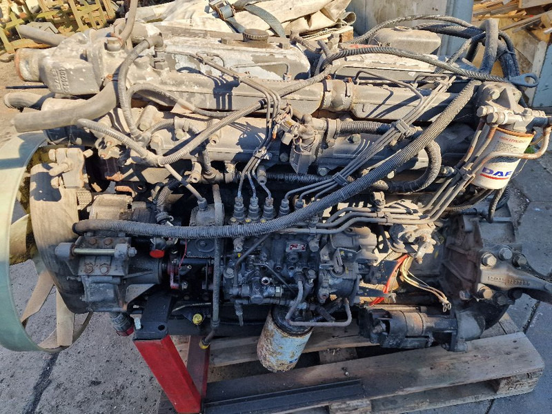 DAF 865 RS200L - Motor: slika 5 DAF 865 RS200L - Motor: slika 5