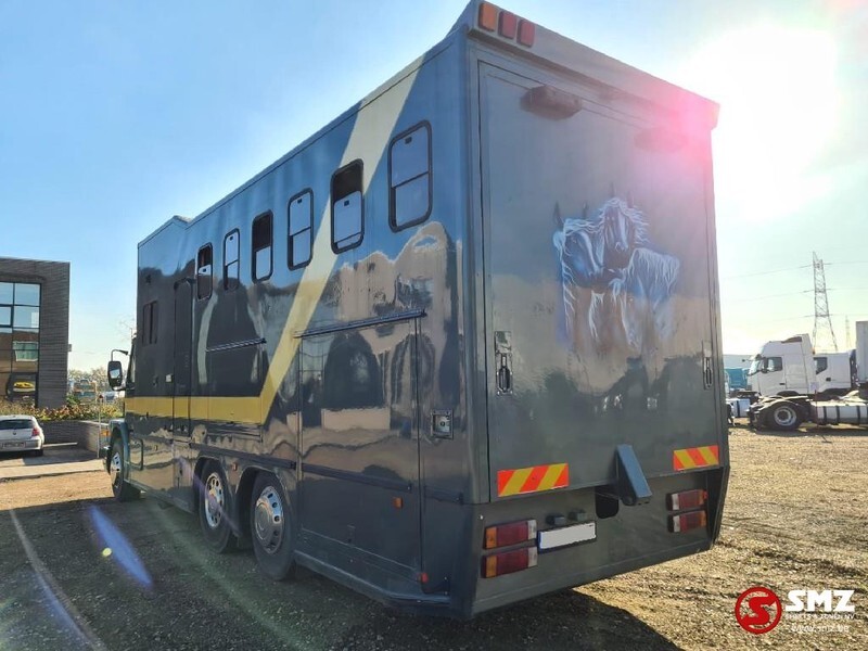 Scania 113 paarden/mobilhome - Kamion za prevoz konja: slika 3 Scania 113 paarden/mobilhome - Kamion za prevoz konja: slika 3