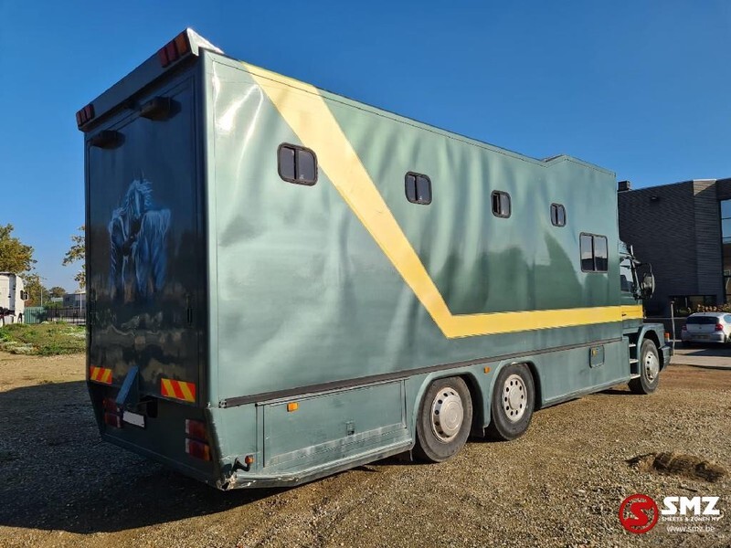 Scania 113 paarden/mobilhome - Kamion za prevoz konja: slika 4 Scania 113 paarden/mobilhome - Kamion za prevoz konja: slika 4