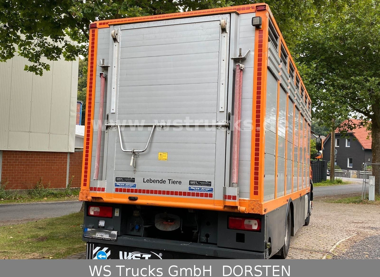 DAF CF 400 Menke Einstock - Kamion za prevoz konja: slika 3 DAF CF 400 Menke Einstock - Kamion za prevoz konja: slika 3