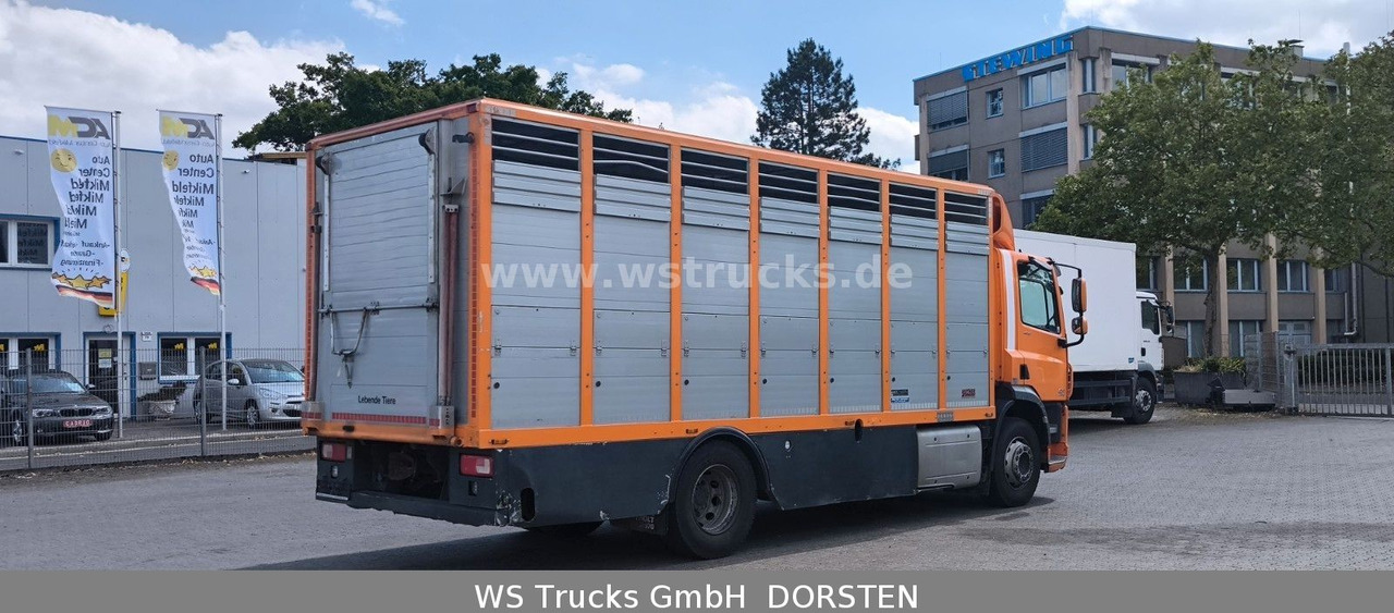 DAF CF 400 Menke Einstock Viehtransporter - Kamion za prevoz konja: slika 5 DAF CF 400 Menke Einstock Viehtransporter - Kamion za prevoz konja: slika 5