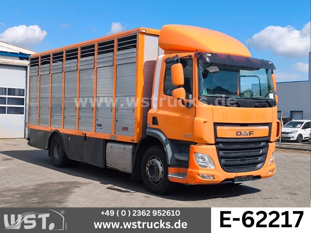 DAF CF 400 Menke Einstock Viehtransporter - Kamion za prevoz konja: slika 1 DAF CF 400 Menke Einstock Viehtransporter - Kamion za prevoz konja: slika 1