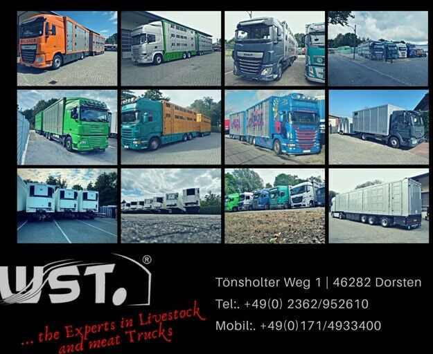 Krone 10x Tiefkühl Thermoking SLX 300 Doppelstock - Poluprikolica hladnjače: slika 5 Krone 10x Tiefkühl Thermoking SLX 300 Doppelstock - Poluprikolica hladnjače: slika 5