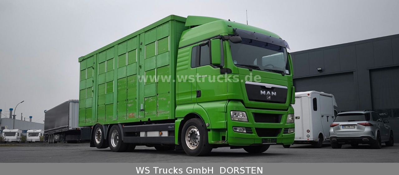 MAN TGX 26.480 XL KABA 3 Stock Viehtransporter - Kamion za prevoz konja: slika 4 MAN TGX 26.480 XL KABA 3 Stock Viehtransporter - Kamion za prevoz konja: slika 4