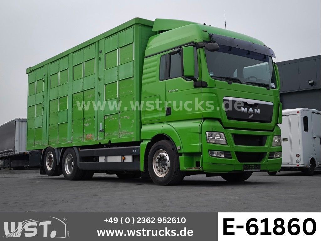 MAN TGX 26.480 XL KABA 3 Stock Viehtransporter - Kamion za prevoz konja: slika 1 MAN TGX 26.480 XL KABA 3 Stock Viehtransporter - Kamion za prevoz konja: slika 1