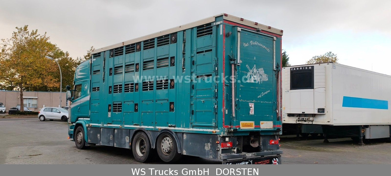 Scania R 490 Topline Menke 4 Stock Hubdach | Retader - Kamion za prevoz konja: slika 4 Scania R 490 Topline Menke 4 Stock Hubdach | Retader - Kamion za prevoz konja: slika 4