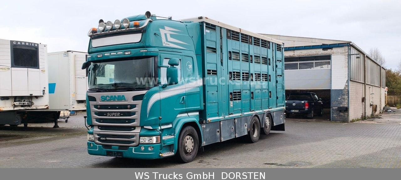 Scania R 490 Topline Menke 4 Stock Hubdach | Retader - Kamion za prevoz konja: slika 1 Scania R 490 Topline Menke 4 Stock Hubdach | Retader - Kamion za prevoz konja: slika 1