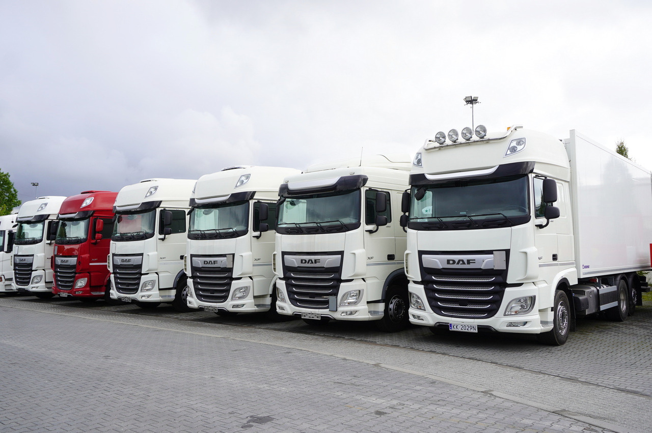 DAF XF 480 E6 6×2 / Refrigerator 18 pallets / 6 units - Hladnjača: slika 2 DAF XF 480 E6 6×2 / Refrigerator 18 pallets / 6 units - Hladnjača: slika 2