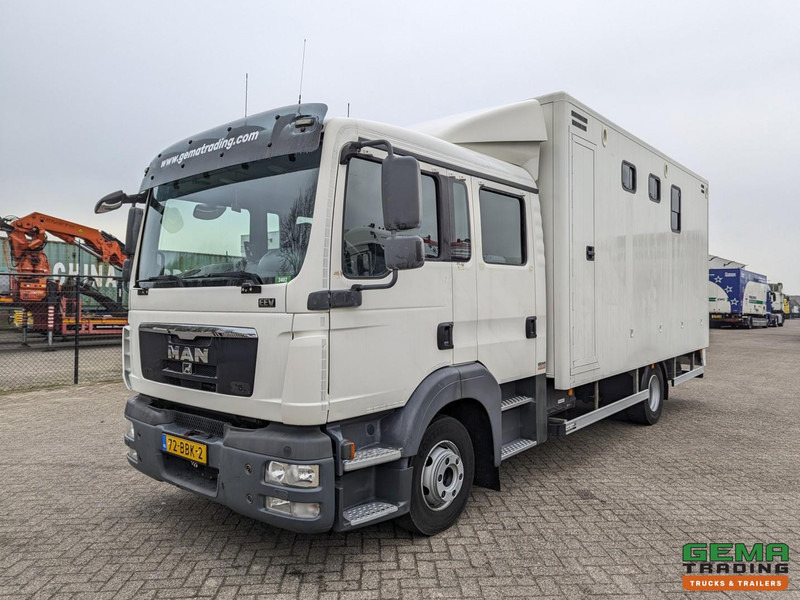 MAN TGL 12.180 4x2 DoKa 7 pers. Euro5 EEV - Paardenwagen 2-Paards - 147.000km! - MARGE - Kamion za prevoz konja: slika 3 MAN TGL 12.180 4x2 DoKa 7 pers. Euro5 EEV - Paardenwagen 2-Paards - 147.000km! - MARGE - Kamion za prevoz konja: slika 3