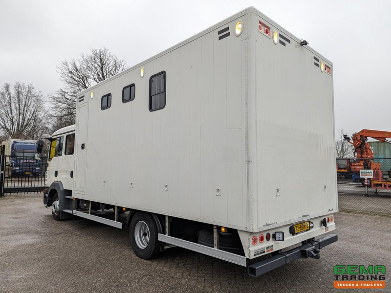 MAN TGL 12.180 4x2 DoKa 7 pers. Euro5 EEV - Paardenwagen 2-Paards - 147.000km! - MARGE - Kamion za prevoz konja: slika 4 MAN TGL 12.180 4x2 DoKa 7 pers. Euro5 EEV - Paardenwagen 2-Paards - 147.000km! - MARGE - Kamion za prevoz konja: slika 4