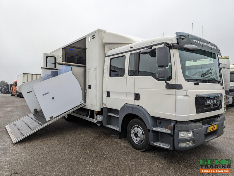 MAN TGL 12.180 4x2 DoKa 7 pers. Euro5 EEV - Paardenwagen 2-Paards - 147.000km! - MARGE - Kamion za prevoz konja: slika 1 MAN TGL 12.180 4x2 DoKa 7 pers. Euro5 EEV - Paardenwagen 2-Paards - 147.000km! - MARGE - Kamion za prevoz konja: slika 1
