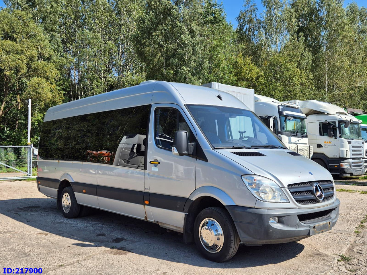 MERCEDES-BENZ Sprinter 516 - VIP - 17 places - Turistički autobus: slika 4 MERCEDES-BENZ Sprinter 516 - VIP - 17 places - Turistički autobus: slika 4