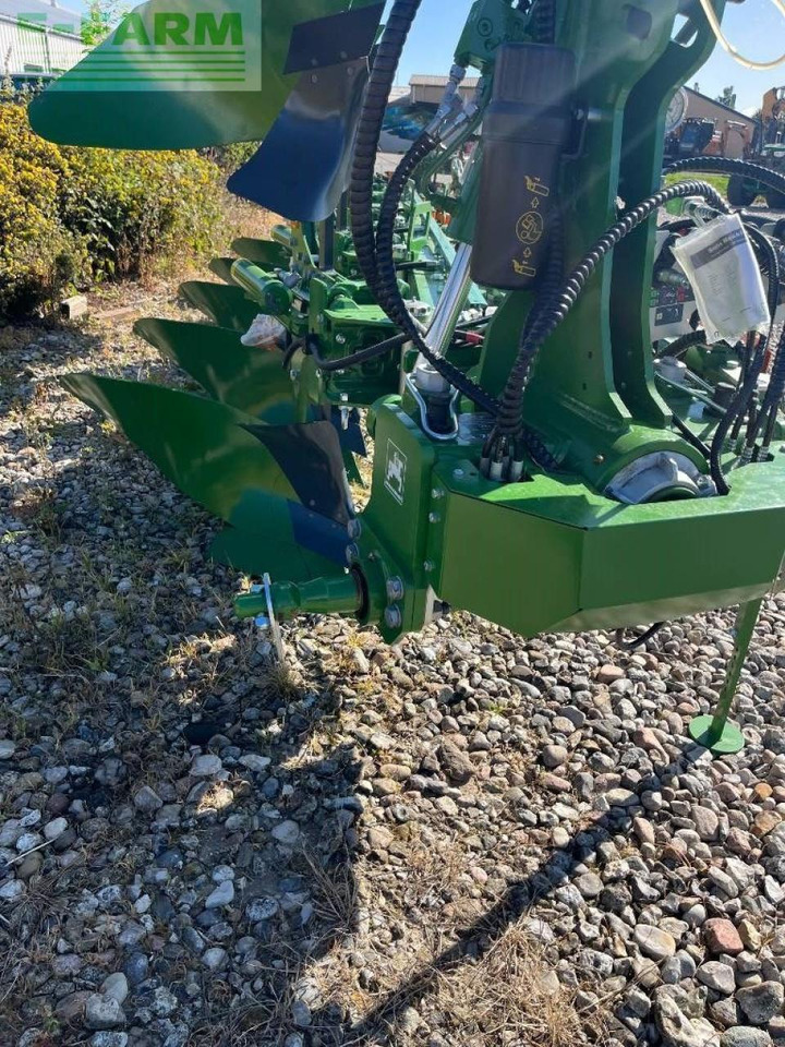 Amazone teres - Plug: slika 3 Amazone teres - Plug: slika 3