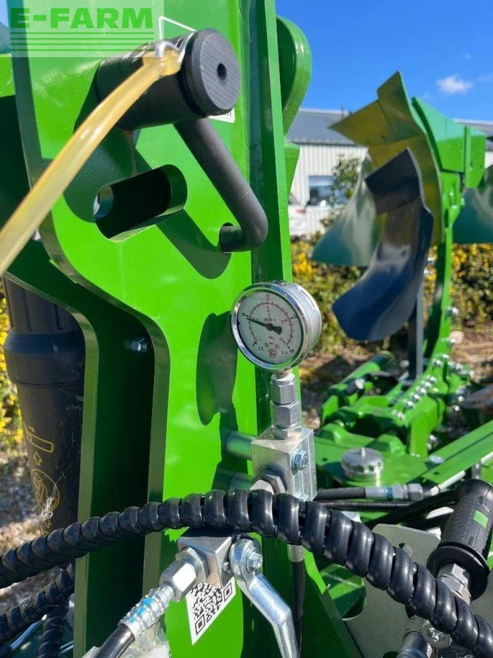 Amazone teres - Plug: slika 5 Amazone teres - Plug: slika 5