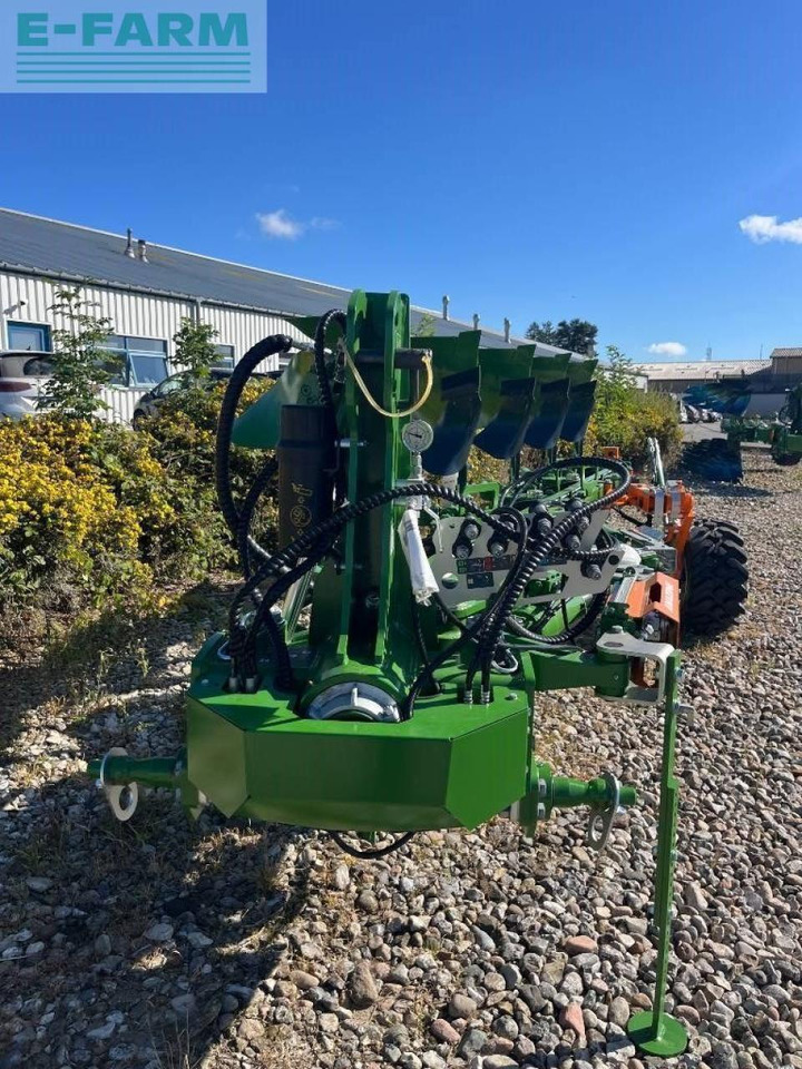 Amazone teres - Plug: slika 2 Amazone teres - Plug: slika 2