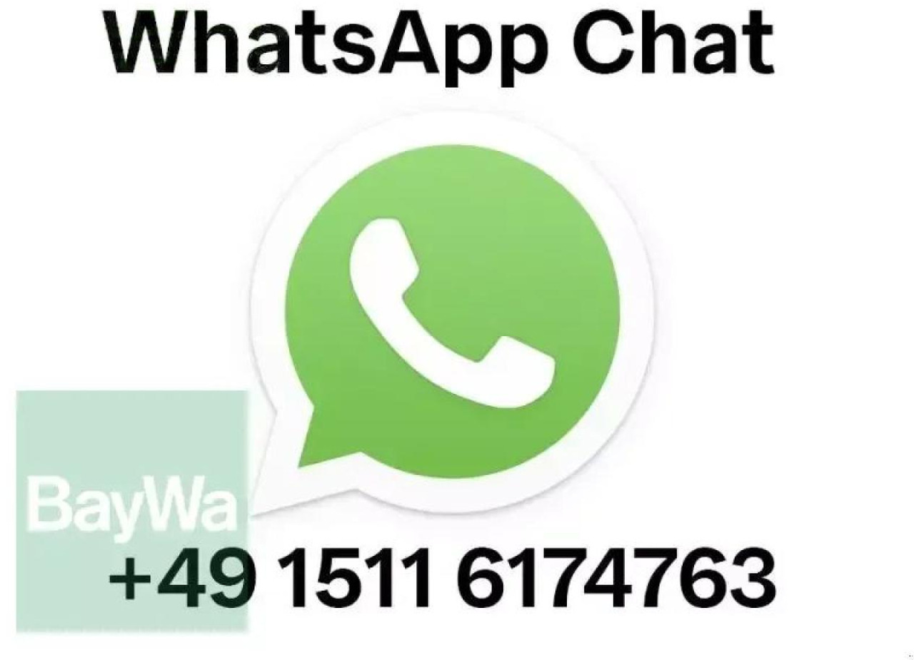 Maschio mondiale 110 - Balirka za kockaste bale: slika 2 Maschio mondiale 110 - Balirka za kockaste bale: slika 2