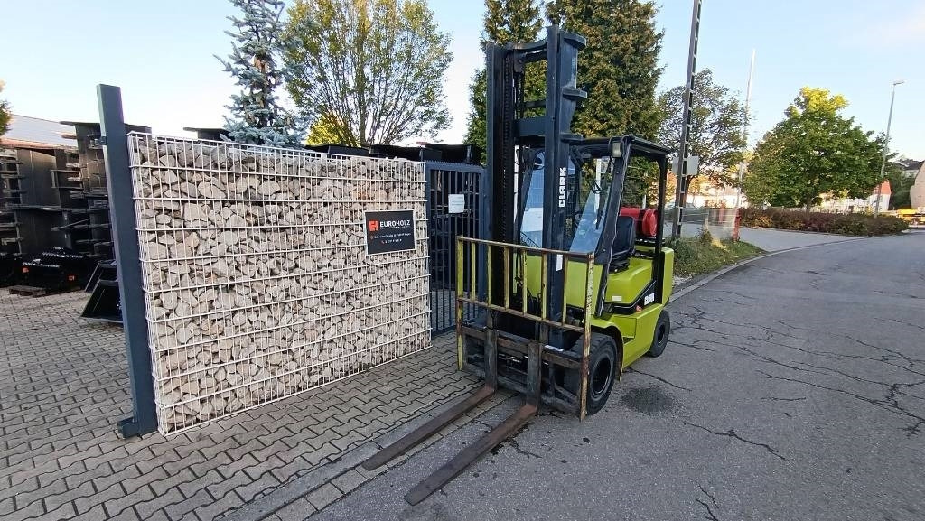 Gasni viljuškar Clark CGP 25 Duplex, hydr. Seitenschieber, Hubhöhe 4,15: slika 15