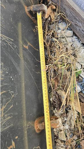 INTERTECH 95 cm Krokodilgabel - Građevinska mašina: slika 4 INTERTECH 95 cm Krokodilgabel - Građevinska mašina: slika 4