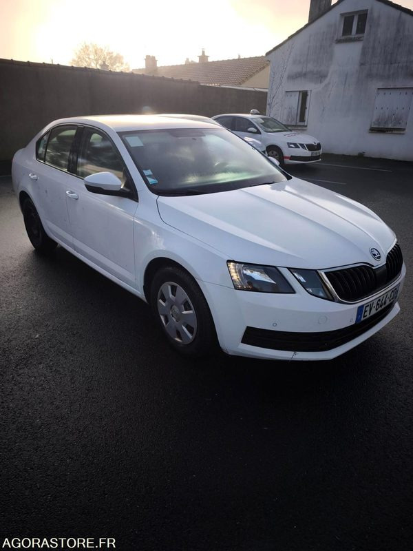 EV-644-CD - Non Roulant - SKODA OCTAVIA - VP - 339 260 Kms - Automobil: slika 1 EV-644-CD - Non Roulant - SKODA OCTAVIA - VP - 339 260 Kms - Automobil: slika 1