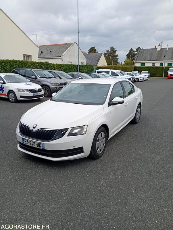 EZ-948-HK - Roulant - SKODA OCTAVIA - VP - 431 000 Kms - Automobil: slika 1 EZ-948-HK - Roulant - SKODA OCTAVIA - VP - 431 000 Kms - Automobil: slika 1