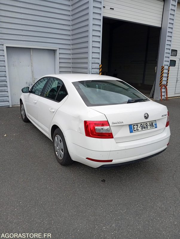 EZ-948-HK - Roulant - SKODA OCTAVIA - VP - 431 000 Kms - Automobil: slika 4 EZ-948-HK - Roulant - SKODA OCTAVIA - VP - 431 000 Kms - Automobil: slika 4