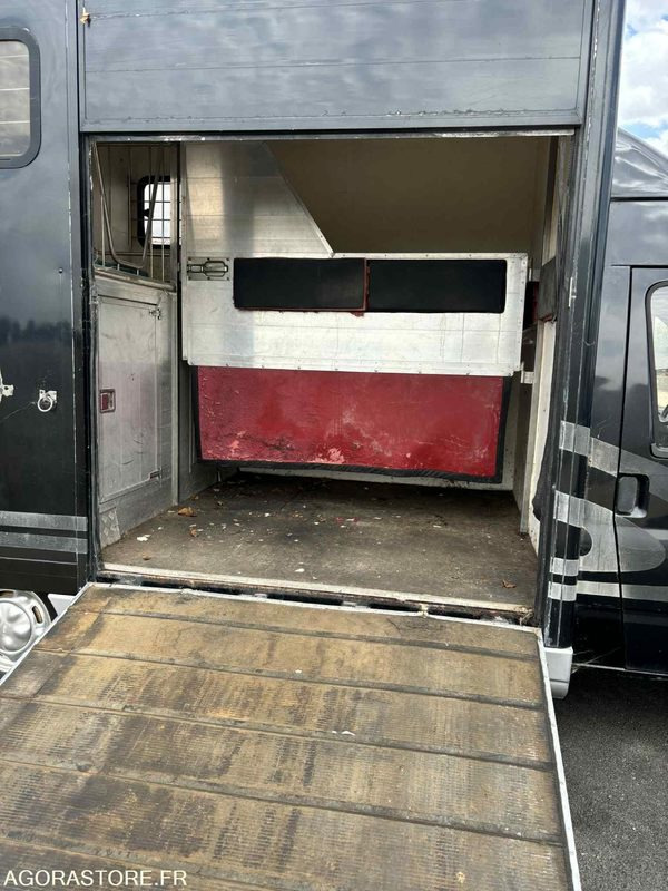 Fourgon FORD - Transport de 2 Chevaux - 2004 - 137 510 KM - Furgon: slika 3 Fourgon FORD - Transport de 2 Chevaux - 2004 - 137 510 KM - Furgon: slika 3