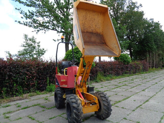 Lizing Thwaites  Thwaites: slika 16