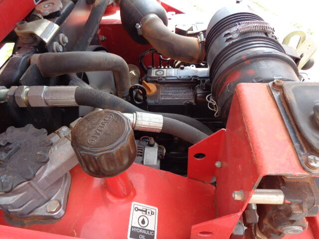 Lizing Thwaites  Thwaites: slika 8