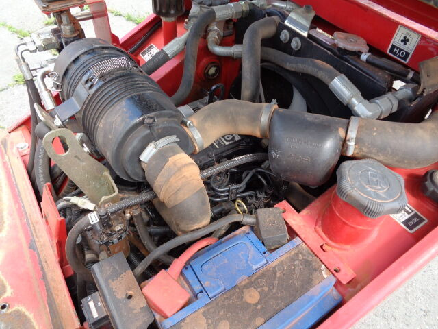 Lizing Thwaites  Thwaites: slika 7