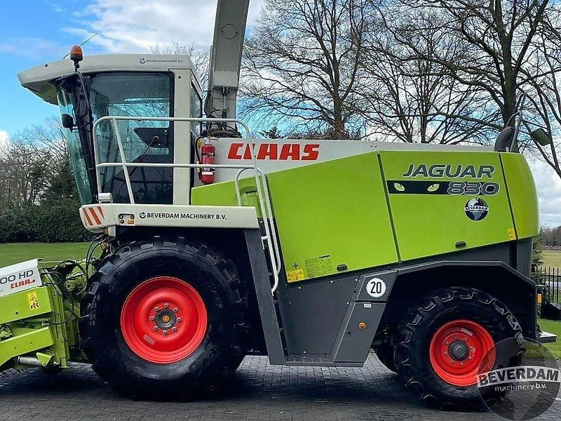 Claas Jaguar 830 492 - Kombajn za stočnu hranu: slika 5 Claas Jaguar 830 492 - Kombajn za stočnu hranu: slika 5