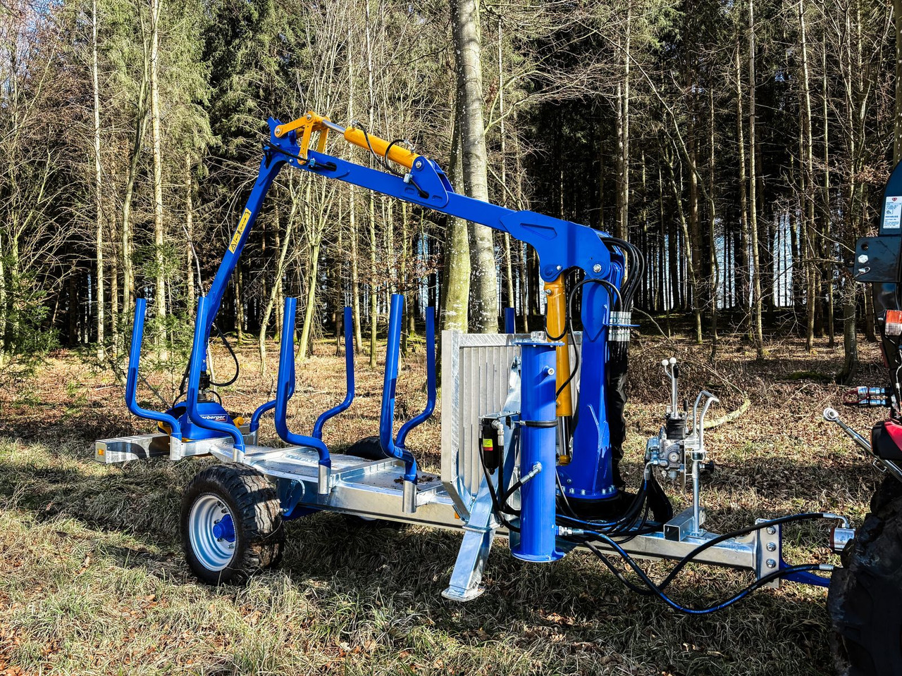 Binderberger Alpin 3t Holzrückewagen - Šumska prikolica: slika 1 Binderberger Alpin 3t Holzrückewagen - Šumska prikolica: slika 1