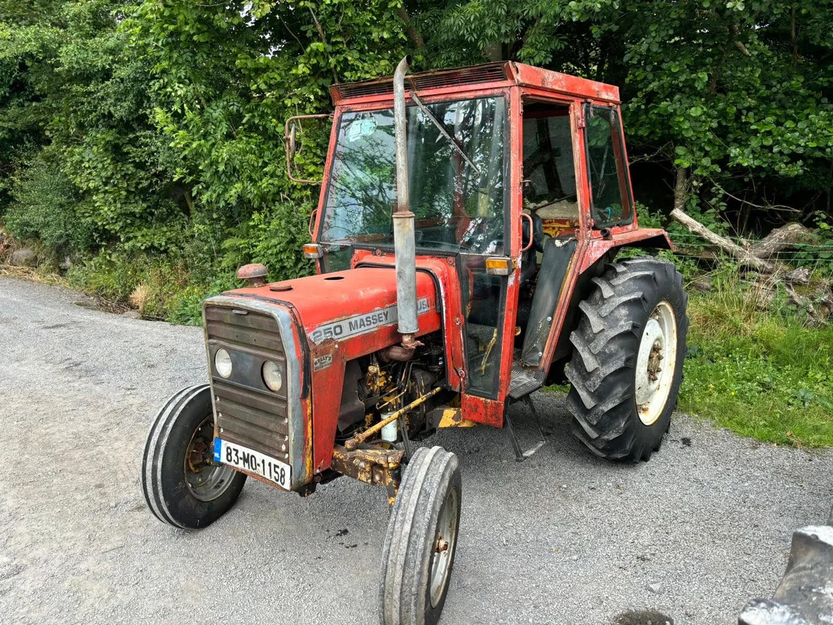 MF250 - Traktor: slika 3 MF250 - Traktor: slika 3