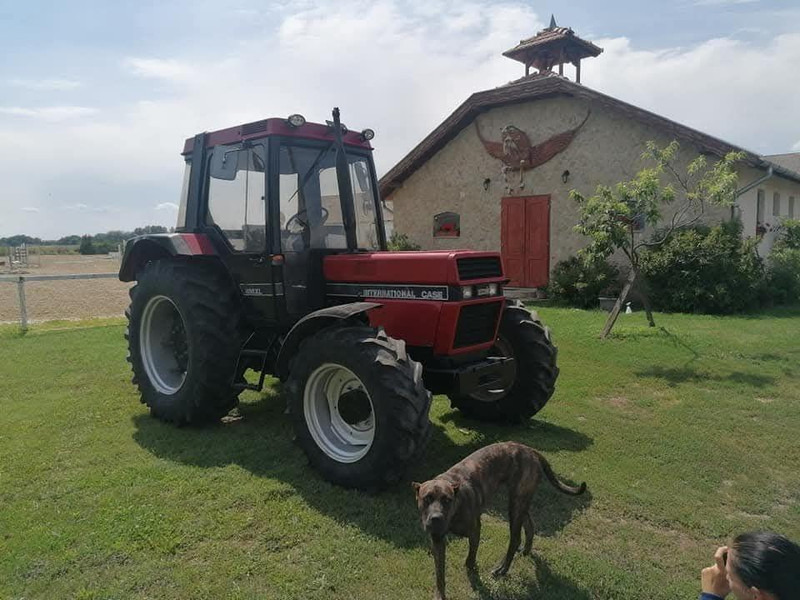 Case IH 856 XL - Traktor: slika 4 Case IH 856 XL - Traktor: slika 4