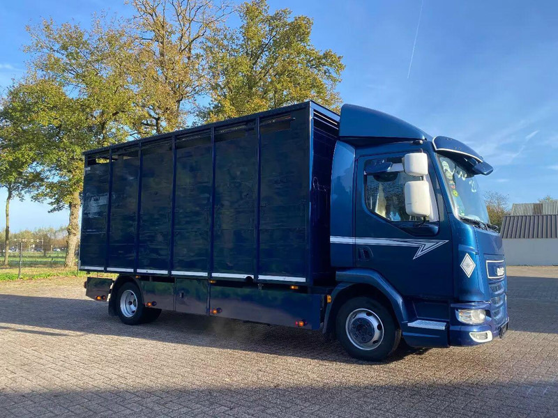 DAF LF 280 - Kamion za prevoz stoke: slika 2 DAF LF 280 - Kamion za prevoz stoke: slika 2