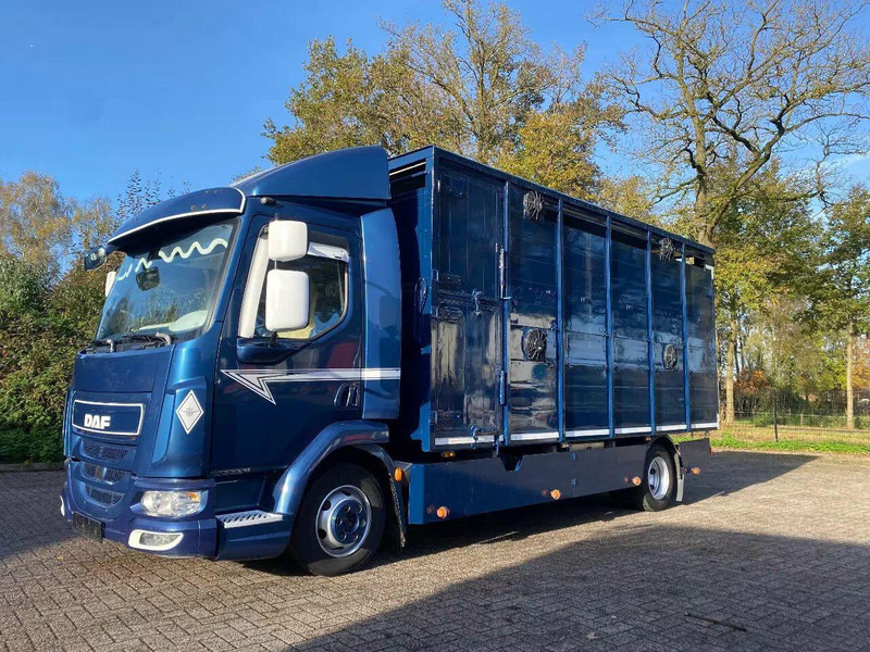DAF LF 280 - Kamion za prevoz stoke: slika 1 DAF LF 280 - Kamion za prevoz stoke: slika 1