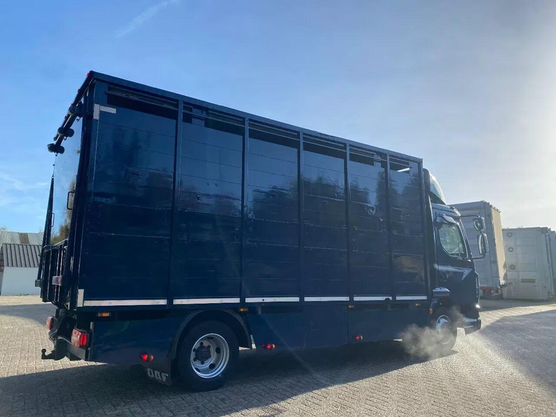 DAF LF 280 - Kamion za prevoz stoke: slika 3 DAF LF 280 - Kamion za prevoz stoke: slika 3