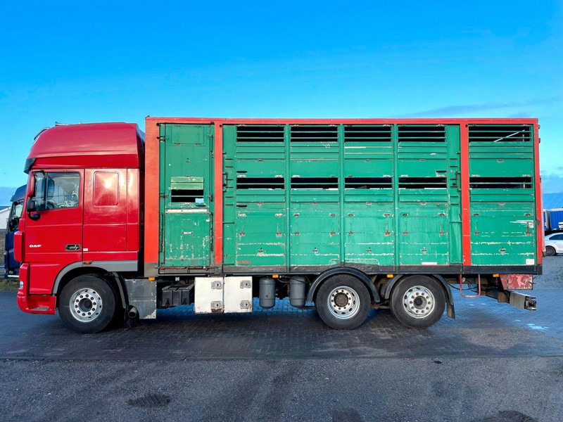 DAF XF 105.460 2-Stock Finkl Viehaufbau / Lenkachs - Kamion za prevoz stoke: slika 5 DAF XF 105.460 2-Stock Finkl Viehaufbau / Lenkachs - Kamion za prevoz stoke: slika 5