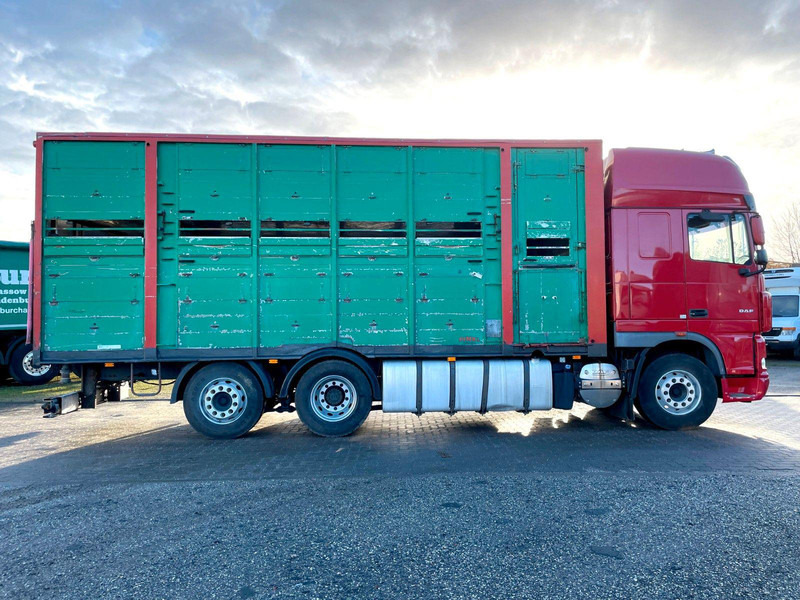DAF XF 105.460 2-Stock Finkl Viehaufbau / Lenkachs - Kamion za prevoz stoke: slika 4 DAF XF 105.460 2-Stock Finkl Viehaufbau / Lenkachs - Kamion za prevoz stoke: slika 4