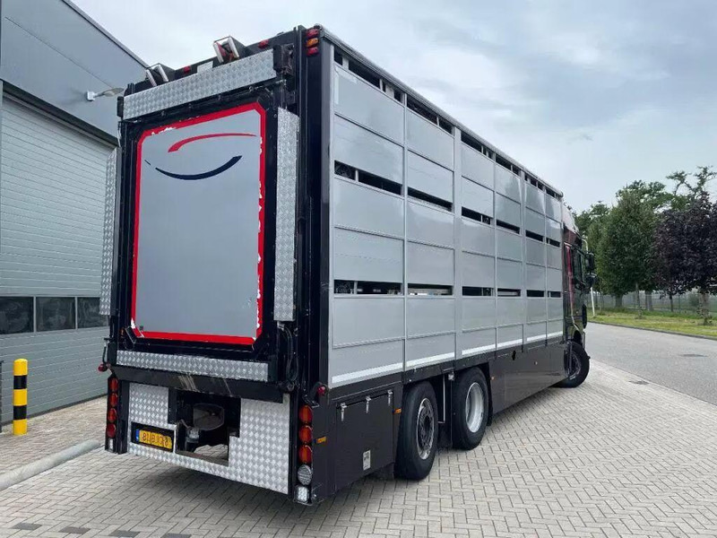 DAF XF 460 - Animal transporter - Kamion za prevoz stoke: slika 5 DAF XF 460 - Animal transporter - Kamion za prevoz stoke: slika 5