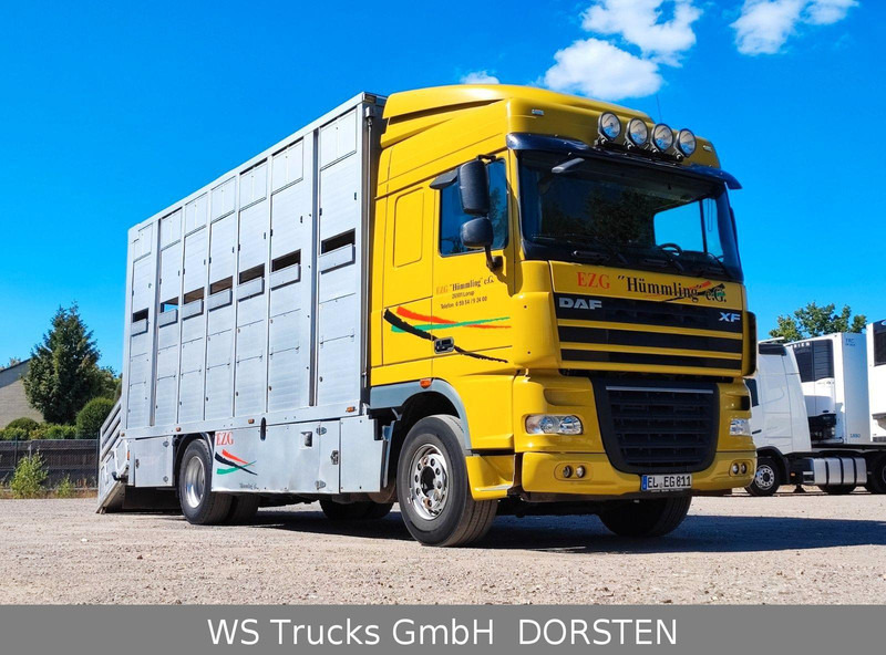 DAF XF410 Menke Doppelstock - Kamion za prevoz stoke: slika 2 DAF XF410 Menke Doppelstock - Kamion za prevoz stoke: slika 2
