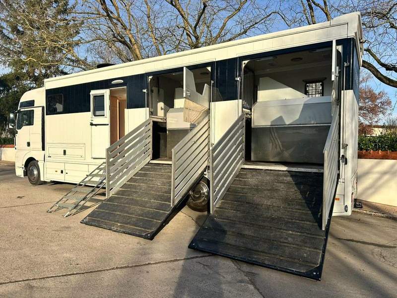 MAN TGX 26.440 - Horse transporter - Kamion za prevoz konja: slika 5 MAN TGX 26.440 - Horse transporter - Kamion za prevoz konja: slika 5