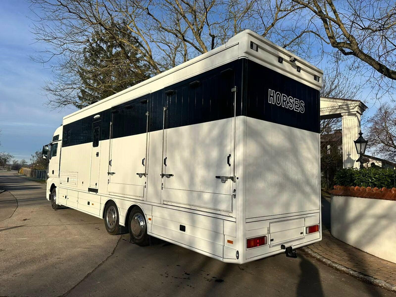 MAN TGX 26.440 - Horse transporter - Kamion za prevoz konja: slika 4 MAN TGX 26.440 - Horse transporter - Kamion za prevoz konja: slika 4