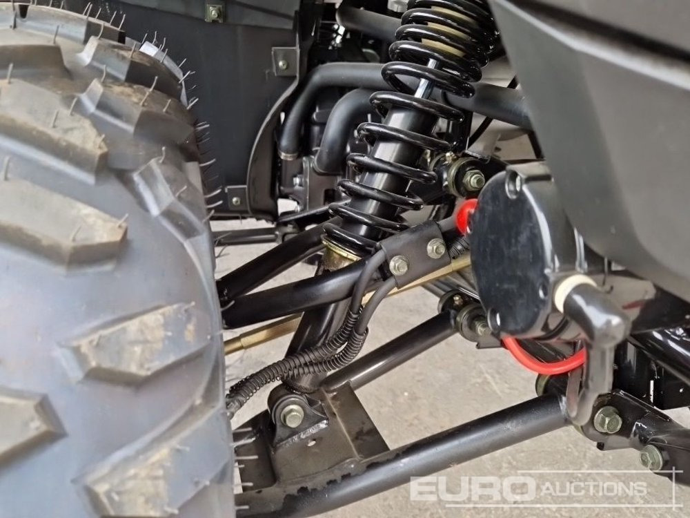 ATV/ Četvorotočkaš Unused TAO Motors TGA300F: slika 13