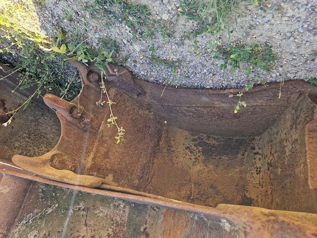 Volvo S50 - Kašika: slika 1 Volvo S50 - Kašika: slika 1