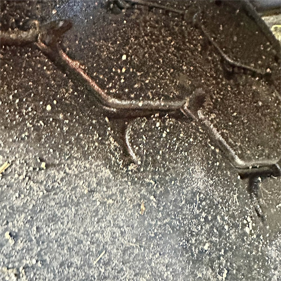 Lizing MAN TG 26.6x2-2 BLS MAN TG 26.6x2-2 BLS: slika 37